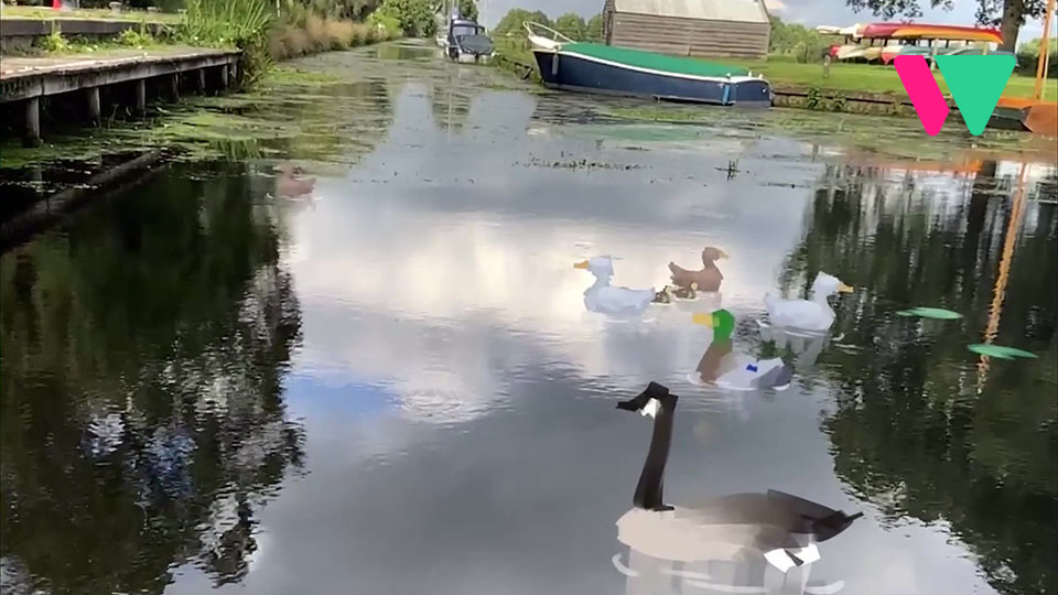 The AR version of Duck Pond, in which the ducks are projected on top of the camera feed of water, as if they are swimming in it - Josien Vos Portfolio